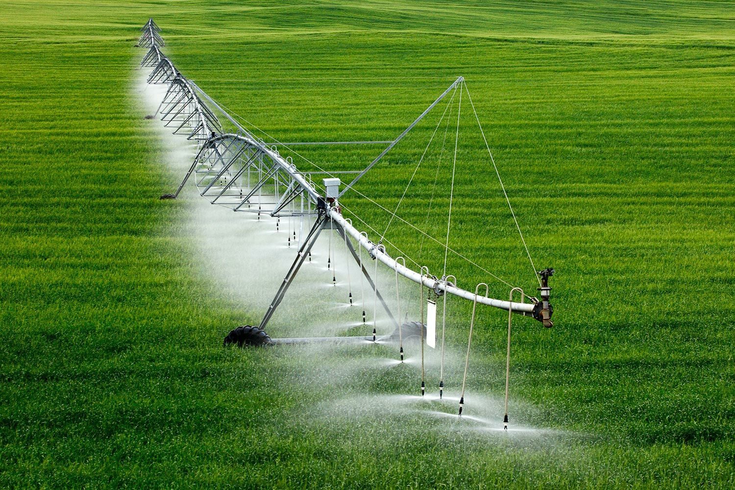 Green-Irrigation-Photo